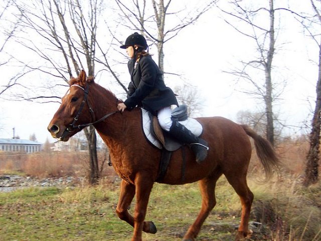 Hubertus 2006